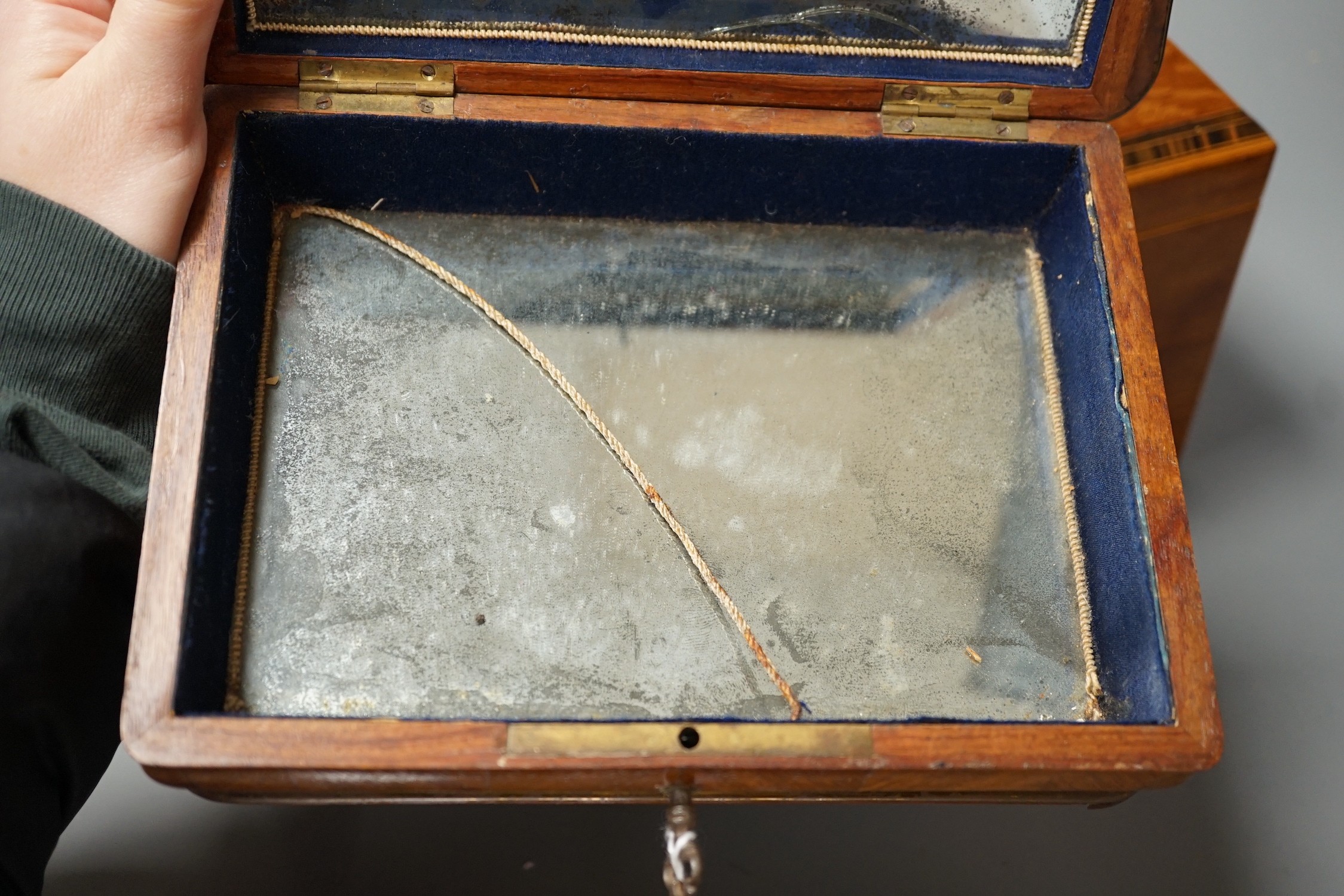 A 19th century partridge-wood and coromandel banded sewing box, together with a French parquetry kingwood jewellery box, with turned bone feet, largest 32cm wide